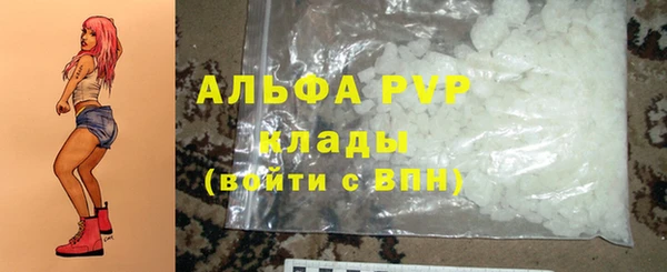 шишки Аркадак