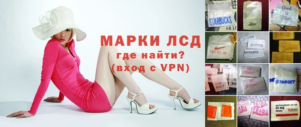 шишки Аркадак
