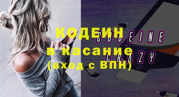 шишки Аркадак