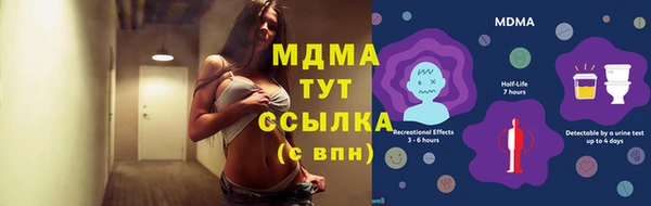 шишки Аркадак