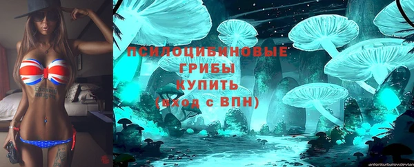 стафф Армянск