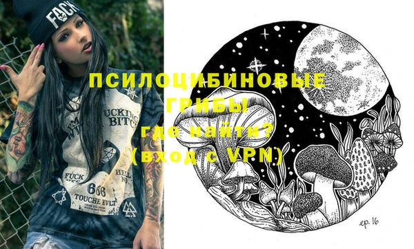 шишки Аркадак