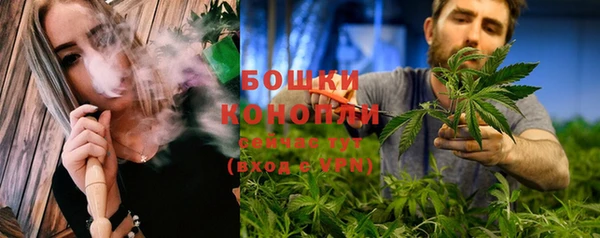шишки Аркадак