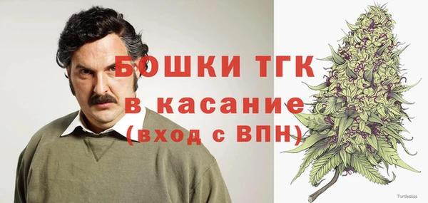 шишки Аркадак