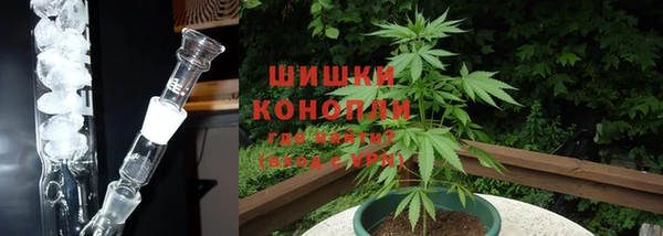 дурь Няндома