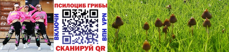 что такое наркотик  Саров  Галлюциногенные грибы Magic Shrooms 